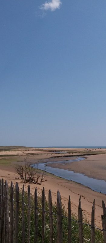 camping L'ilot des Marais