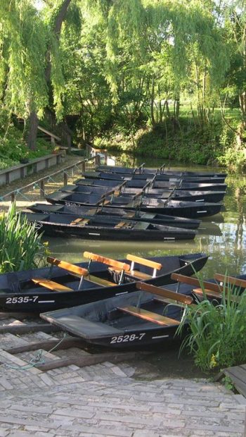 camping L'ilot des Marais