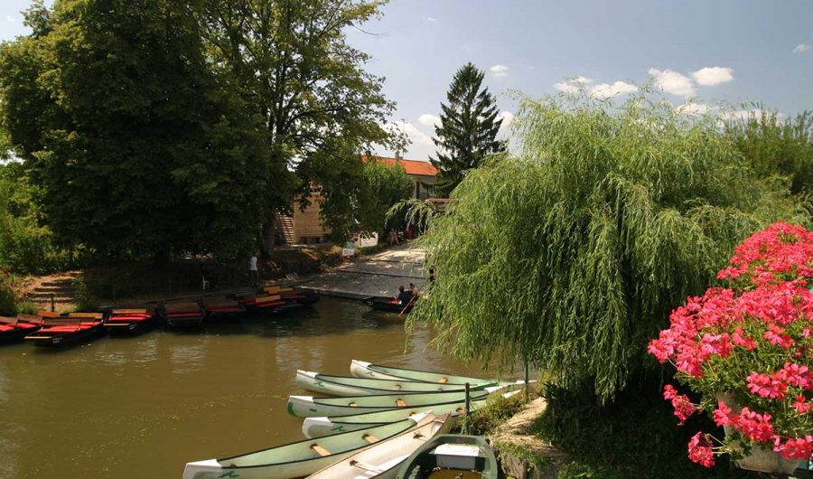 Camping L'ilot des Marais proche La Rochelle
