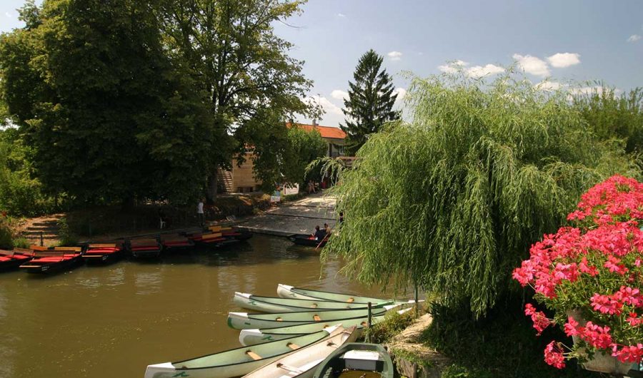 Camping L'ilot des Marais proche La Rochelle