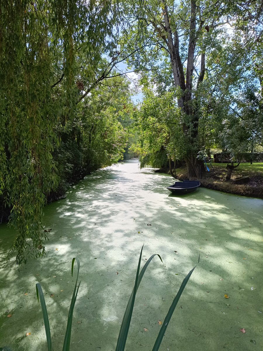 Camping L'ilot des Marais